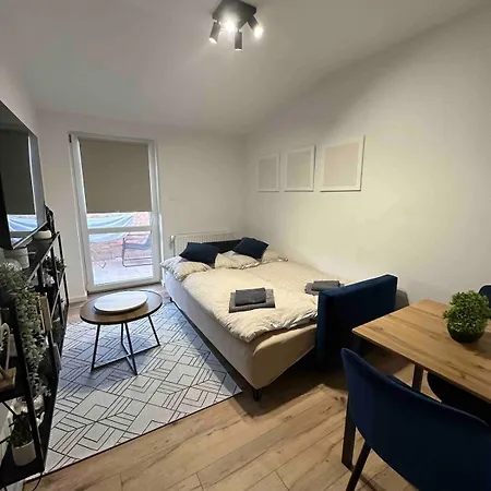 With Terrace Apartment